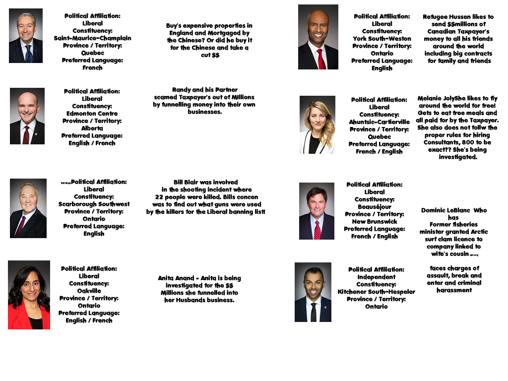 Liberl MP Corruption